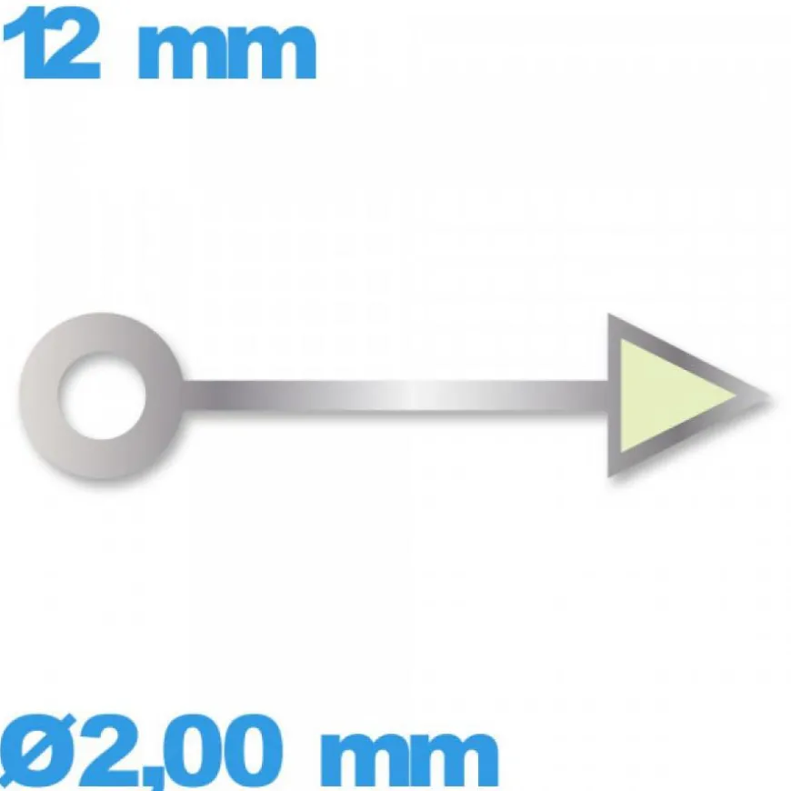 Aiguille diamètre : 2,00mm longueur : 12 mm cadran principal des heures argenté mouvement montre