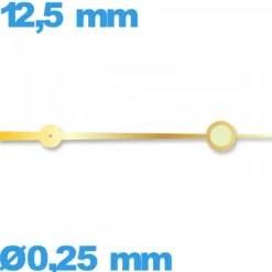 Aiguille marque Horotec doré seule diamètre : 0,25 mm longueur : 12,5 mm des secondes   phosphorescente