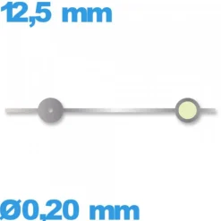 Aiguille   Ø0,20 mm longueur : 12,5 mm phosphorescente (seconde) argenté de mouvement montre à l'unité