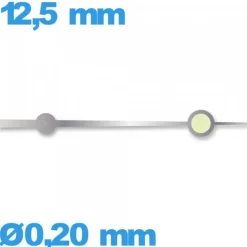 Aiguille Suisse diamètre : 0,20mm  luminescente cadran principal (seconde) argenté de mouvement montre seule Horotec