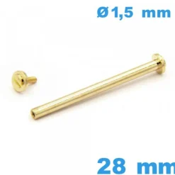 Barre Bracelet Montre Doré 28 mm avec Capuchon diamètre 1,50 mm