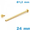 Barre de Montre 24 mm Doré à Capuchon à Vis - Diamètre 1,20 mm