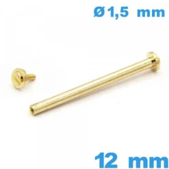 Barre Doré 12mm fermoir montre avec capuchon cylindrique  de bracelet