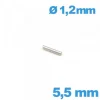 Barre Droite pour Montre 5,5 mm diamètre 1,2 mm