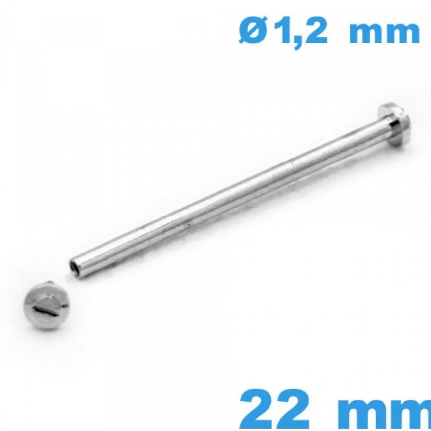 Barre à Rivet à Vis pour Bracelet de Montre Argenté 22 mm