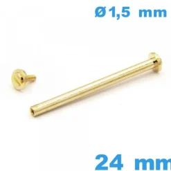 Barrette Montre à Rivet Doré 24 mm Diamètre 1,50 mm