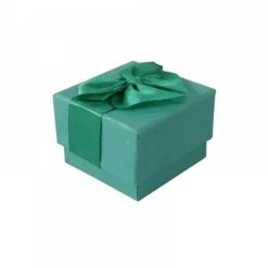 emballage vert pour l'anniversaire d'un enfant carton