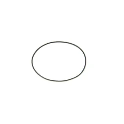 Joint torique montre  - 17.5 X 0.4 mm