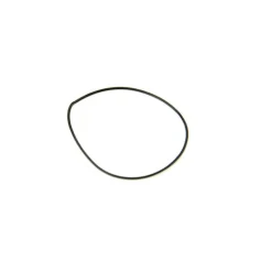 Joint  19 X 0.5 mm pour montre torique pas cher
