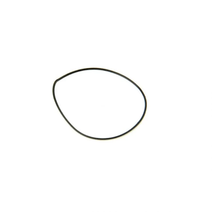 Joint 19 X 0.5 mm pour montre torique pas cher