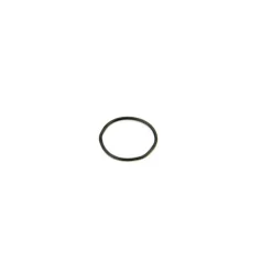 Joint  20 X 0.4 mm pour montre torique