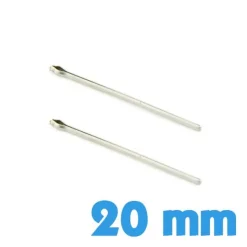 Lot de 2 goupilles 2 cm pas cher pour montre metal