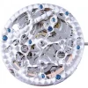 Mouvement de montre chinois 2889 (2196)