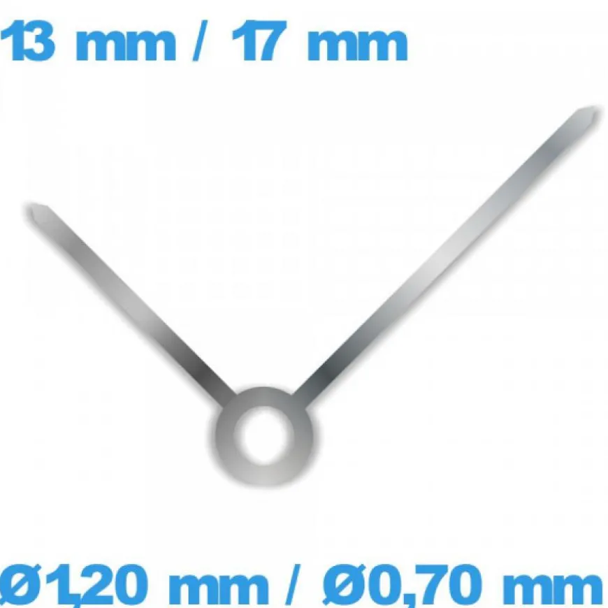Paire d'Aiguille pour Montre Argenté cadran principal