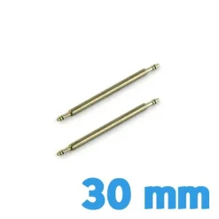 Pompes en lot de 2 - 30 mm pas chère réparation bracelet montre