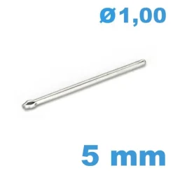 Tige fendue bracelet métal de montre diamètre 1 mm Longueur : 5mm