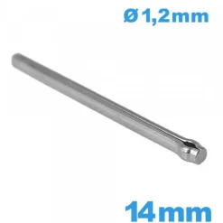 Tige Fendue pour Bracelet de montre longue de 14 mm