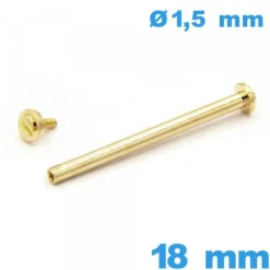 Tige fermoir  à rivet à visser 18 mm pour bracelet de montre